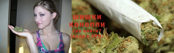 PSILOCYBIN Зеленодольск