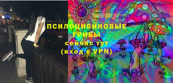 дживик Зерноград