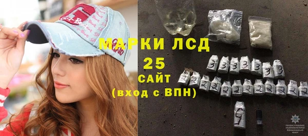 PSILOCYBIN Зеленодольск