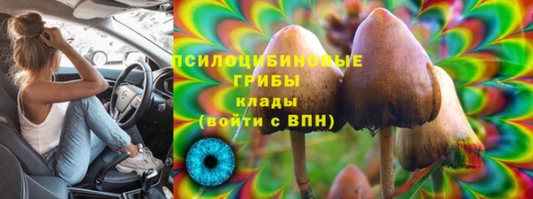 PSILOCYBIN Зеленодольск